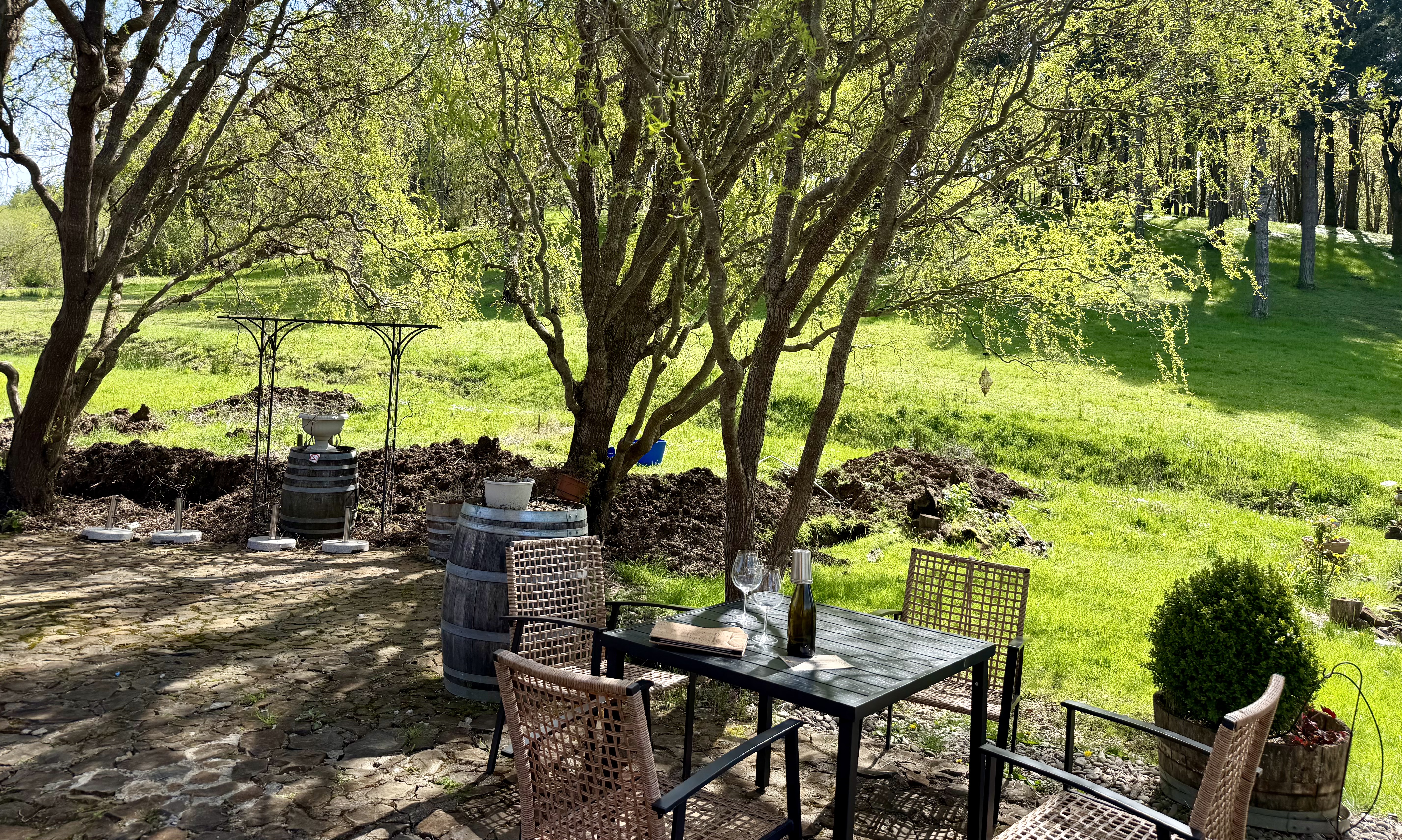 5 willamette valley wineries to visit this summer