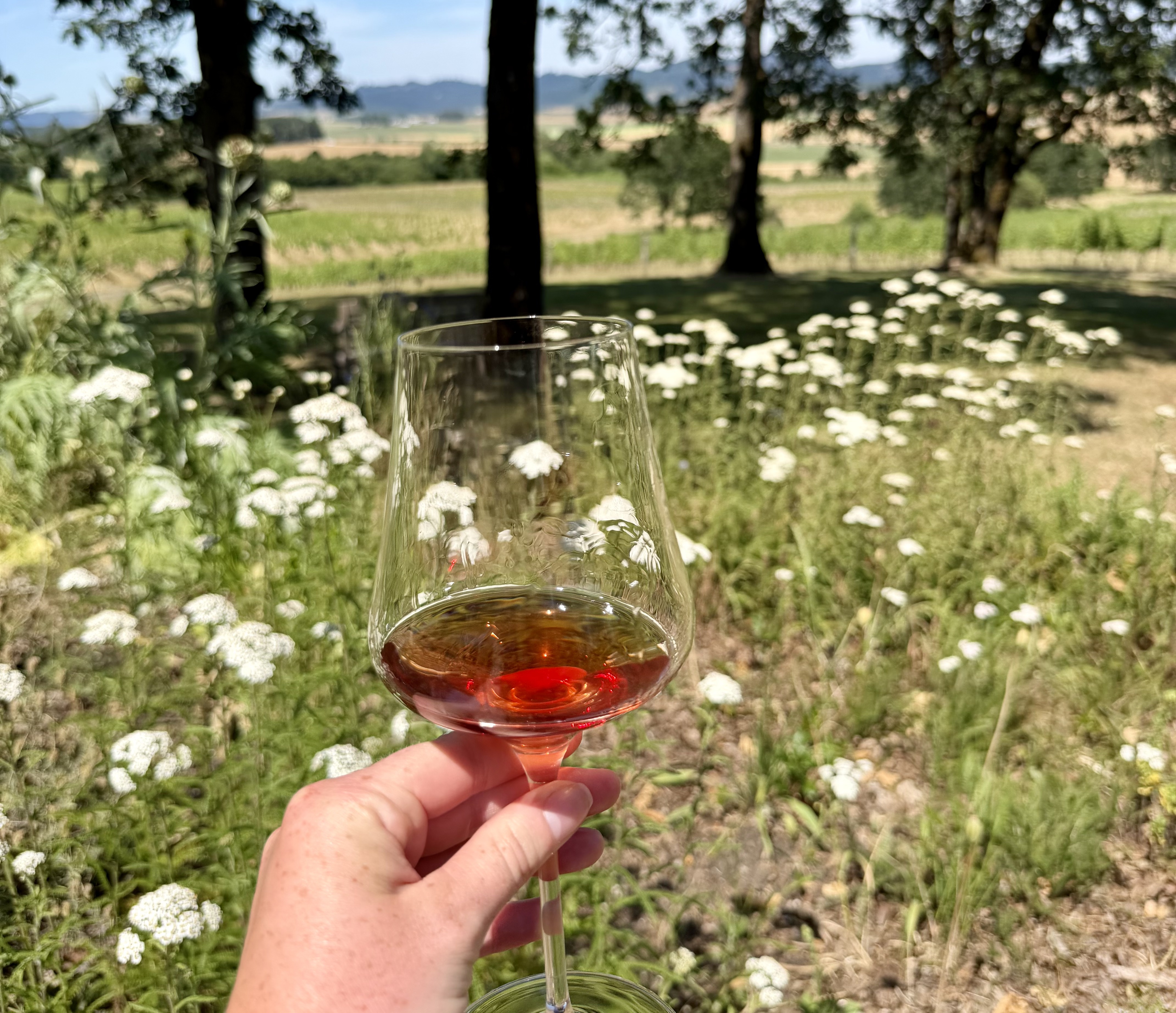 2 stand-out willamette valley wineries: abbott claim & johan